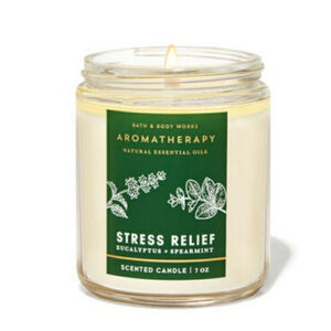 EUCALYPTUS SPEARMINT SINGLE WICK CANDLE